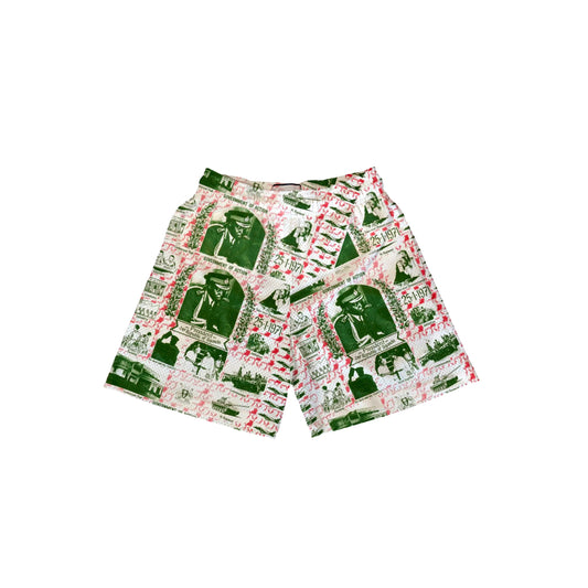 Government of Action shorts